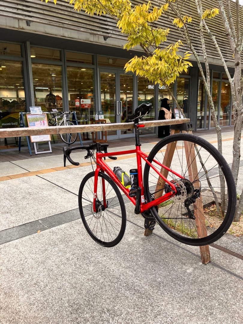 コーダーブルーム ストラウスディスク105 完成車