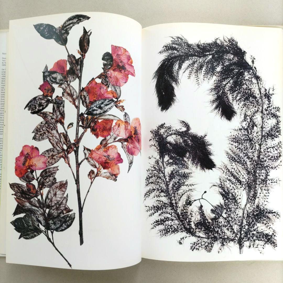 FLORA:Nick Knight/ニック・ナイト 写真集 植物標本 アート