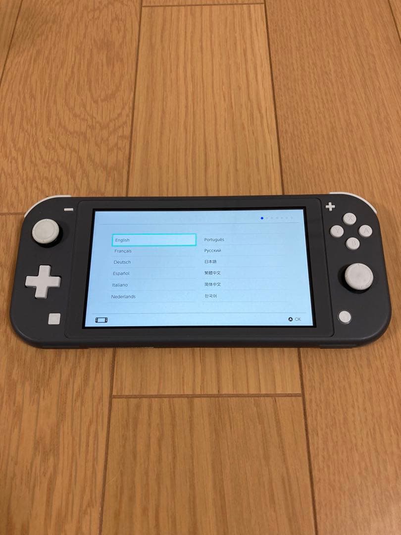 Nintendo Switch ライト 本体 グレー ケース付き