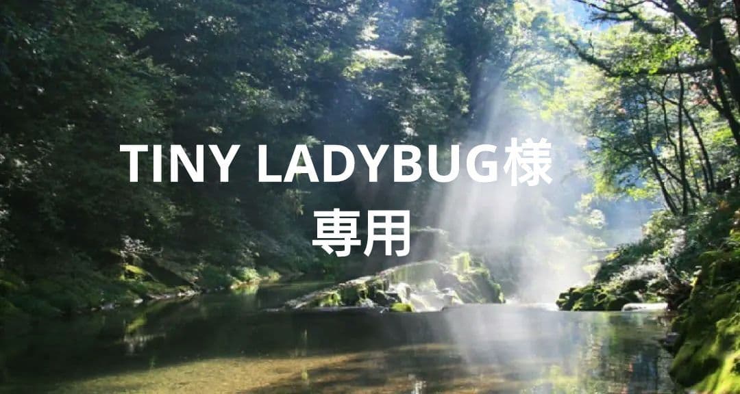 TINY L,✨特典付電磁波防止本物CMCペンダントUSA版1本値引