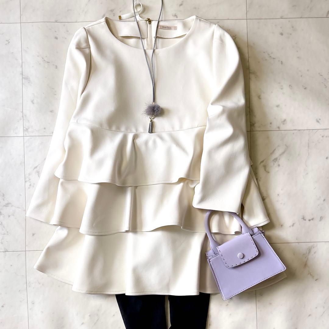 新品同様 ローズティアラ 大きいサイズ46 洗える ダンボールニットブラウス4L