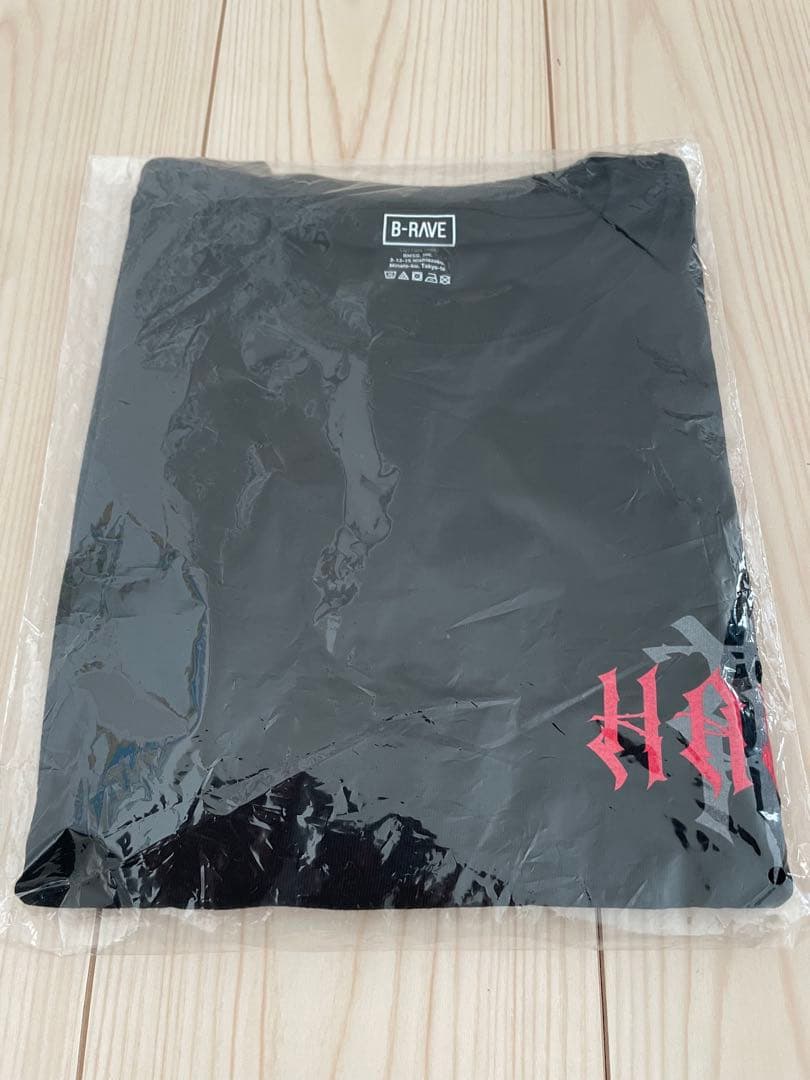 HANAロゴ Tシャツ Lサイズ　新品