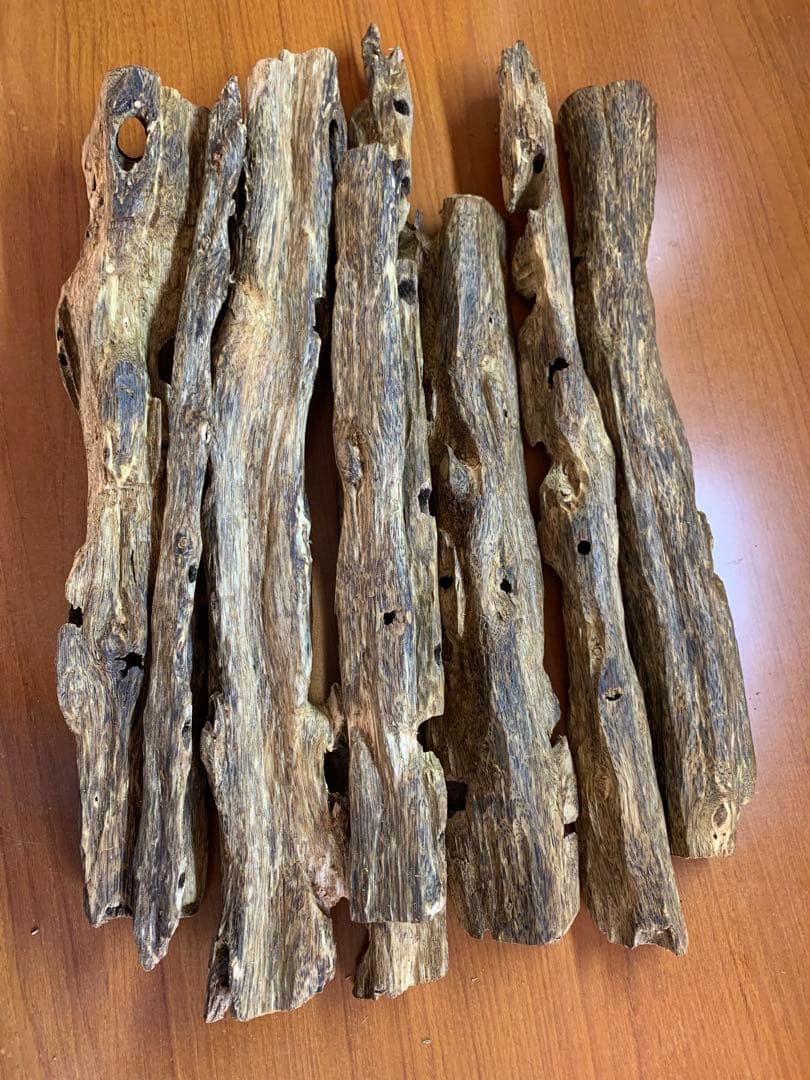 極上緑油伽羅 沈香原木 香木 重さ:1000g