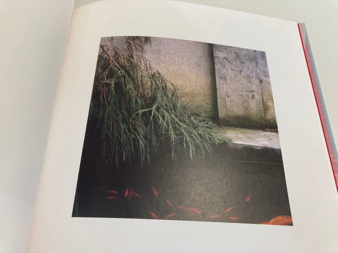 アート・デザイン・音楽 Xiaoxiao Xu / The Way To Golden Mountain