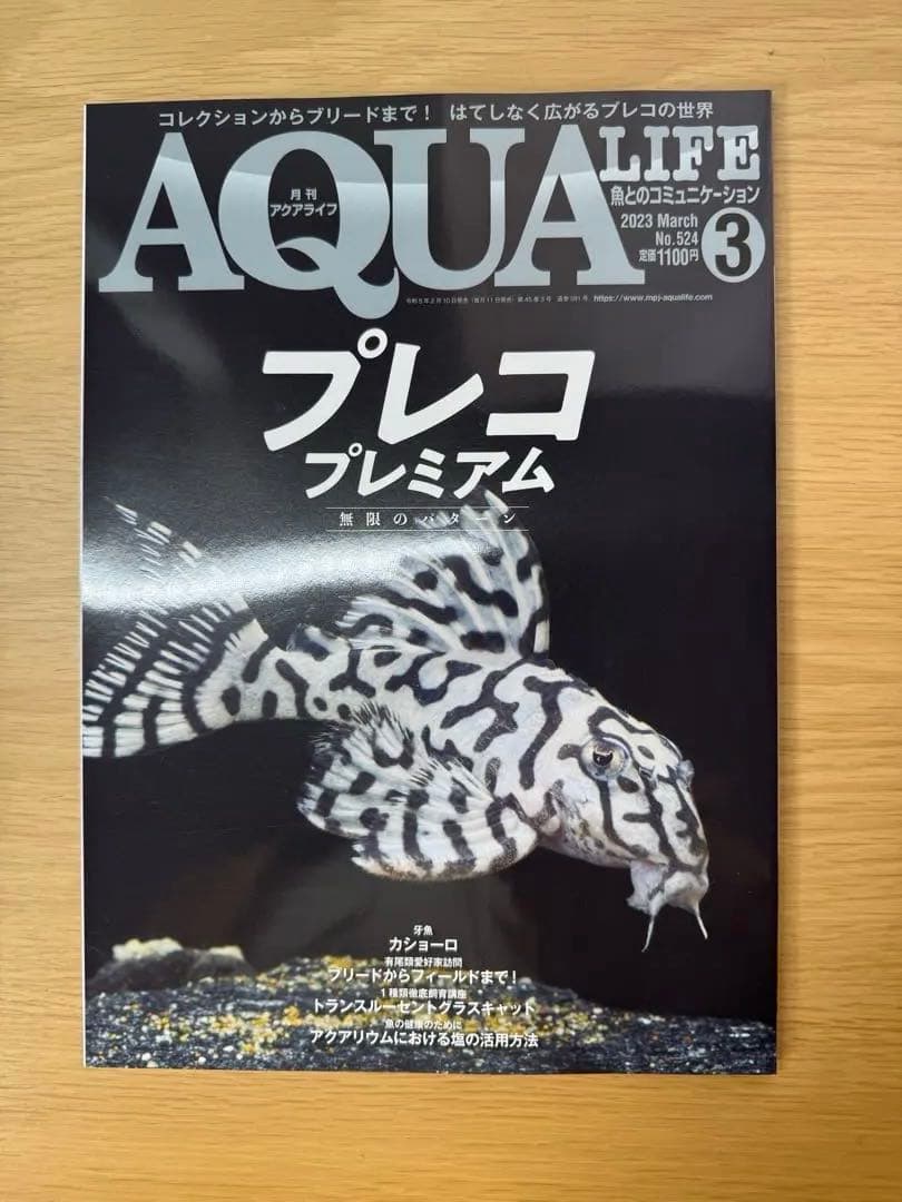 月刊アクアライフ 2023年全号 バックナンバー