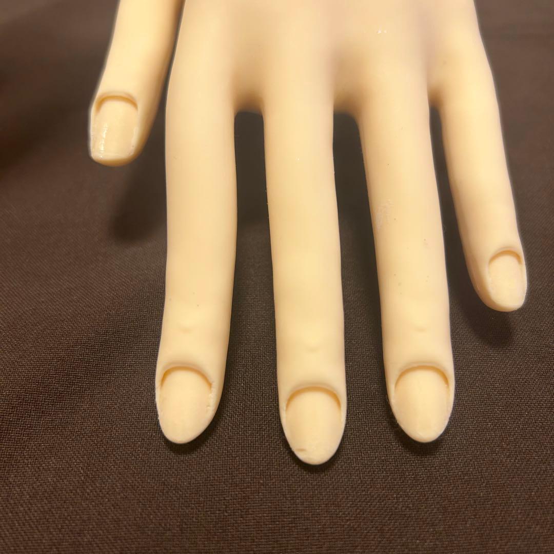 JNEC認定 モデルハンド