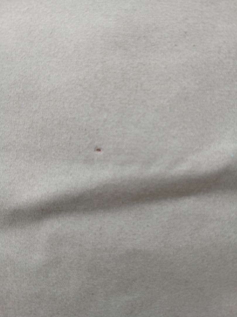 ワンティグリスTC キャンプテント