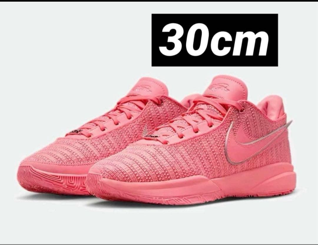 シューズ(男性用) Nike LeBron20 \