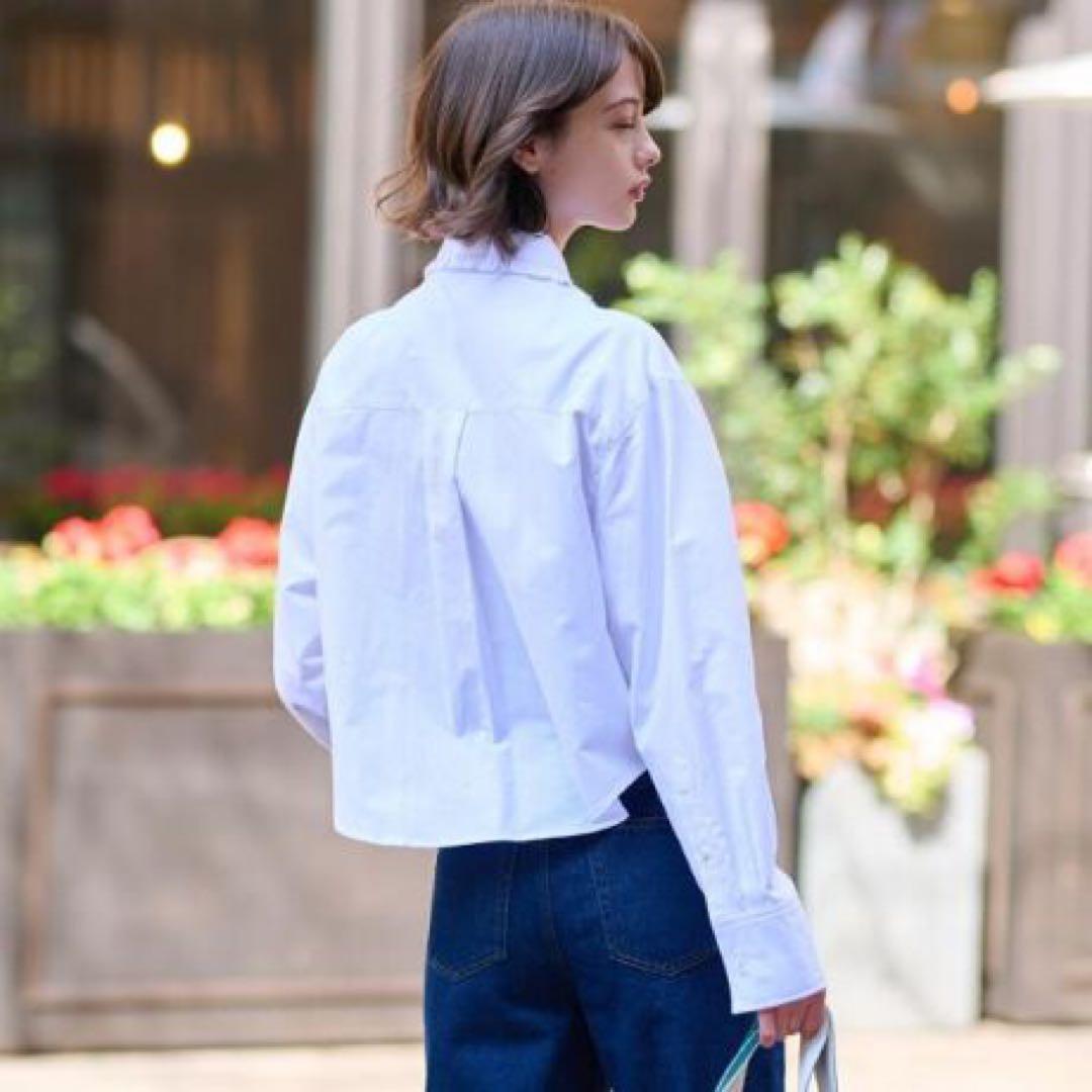 新品　ドレステリア