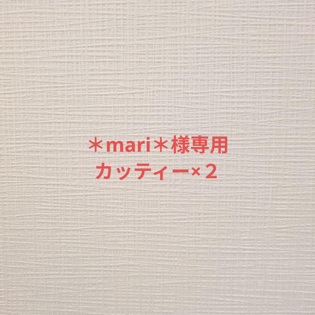 【専用】スリムレイ カッティー バーニー RHYTHM リズム 2箱