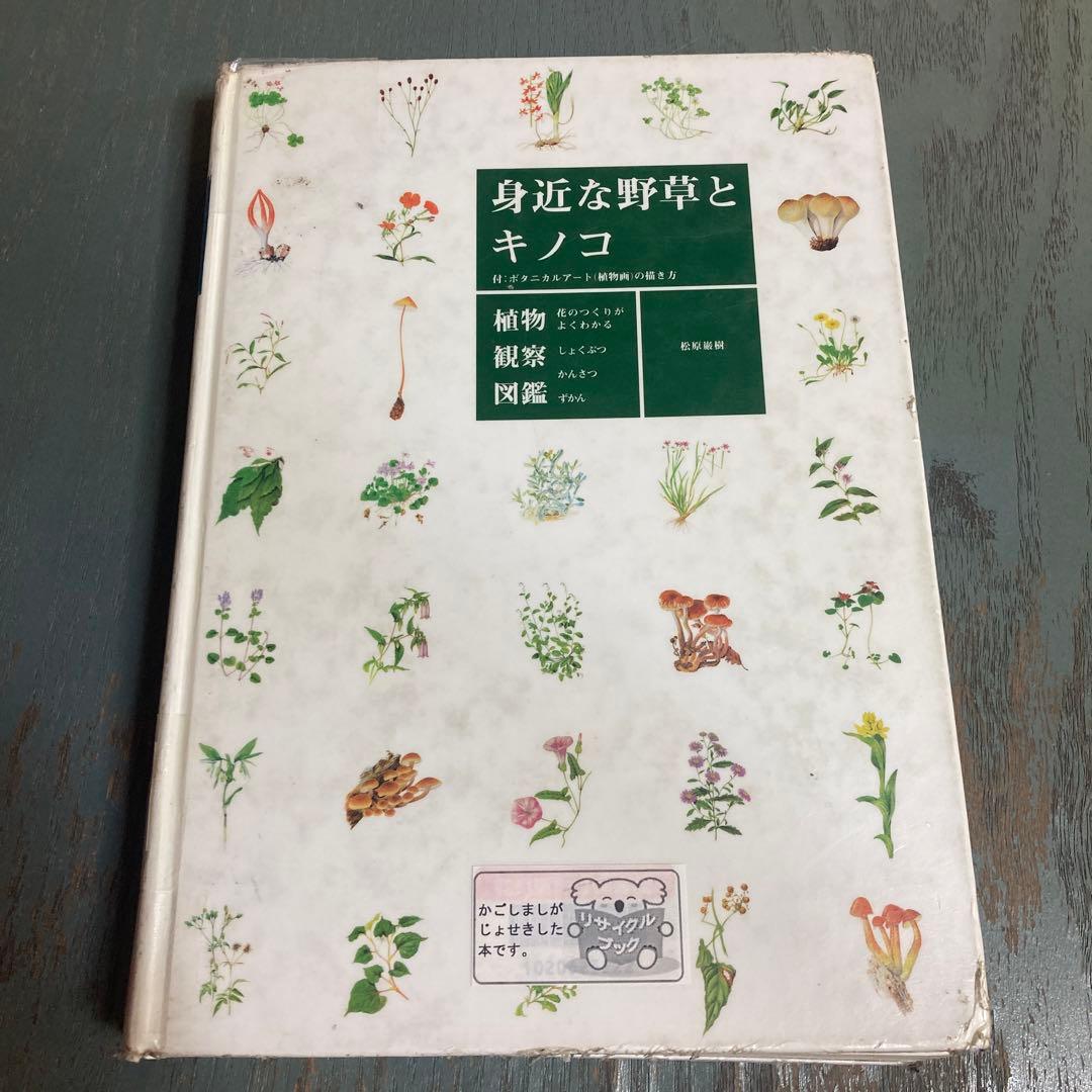身近な野草とキノコ : 花のつくりがよくわかる植物観察図鑑 旺文社 松原巌樹