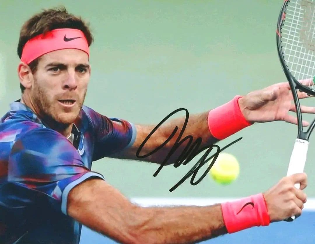 セール中…ファン・マルティン・デル・ポトロ直筆サイン入り写真…プロテニスプレーヤ